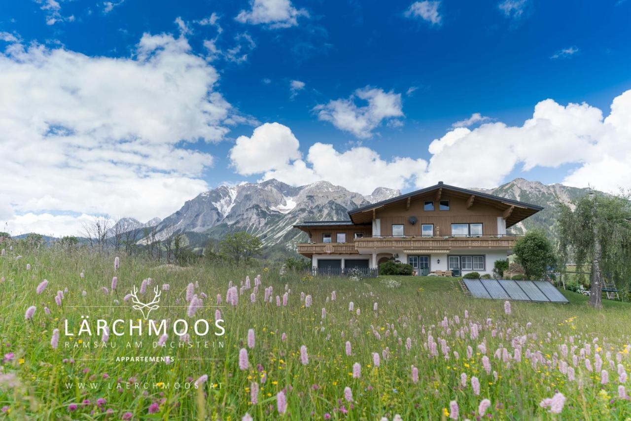 Appartements Laerchmoos ラムサウ・アム・ダッハシュタイン エクステリア 写真