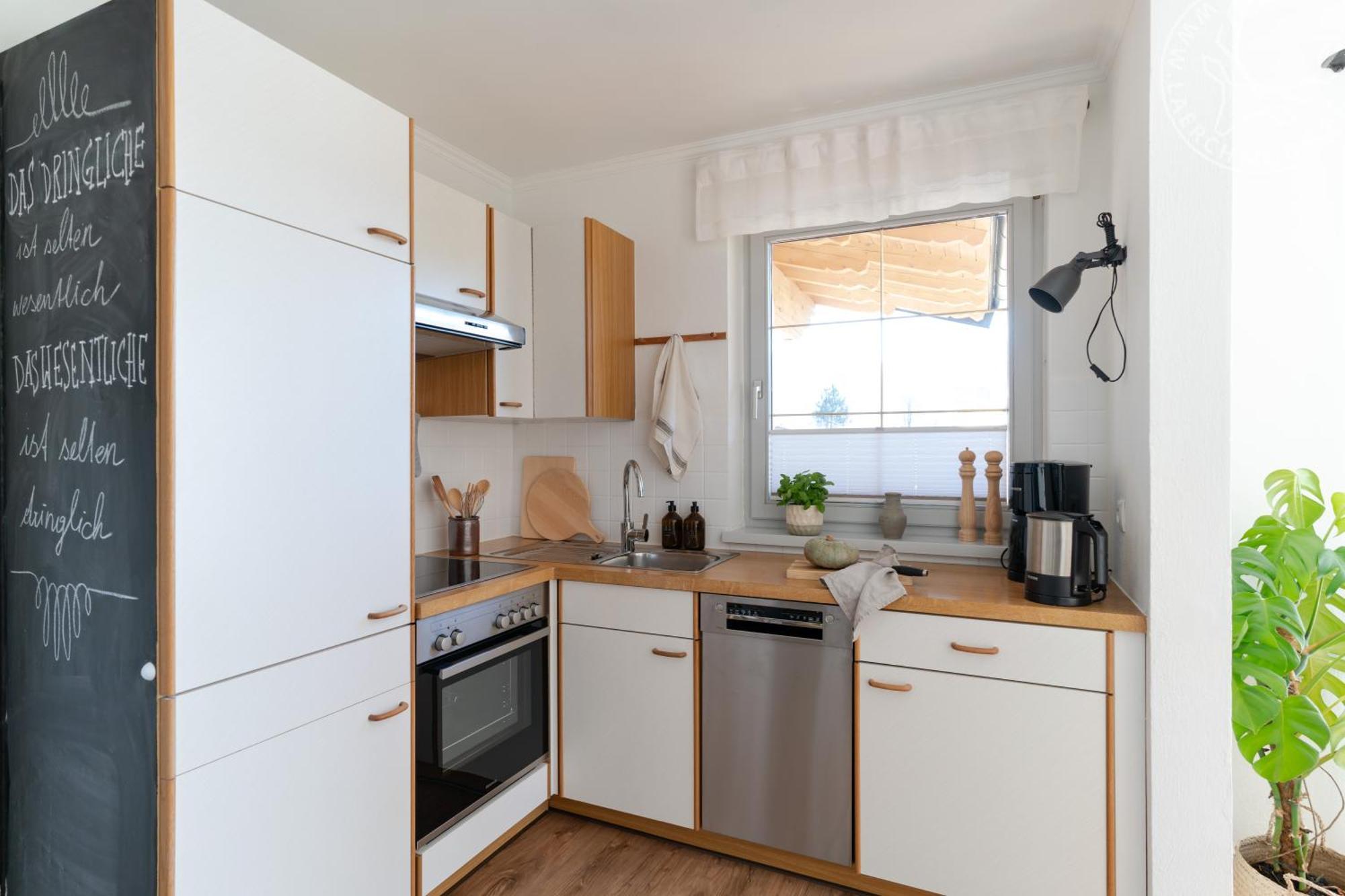 Appartements Laerchmoos ラムサウ・アム・ダッハシュタイン エクステリア 写真
