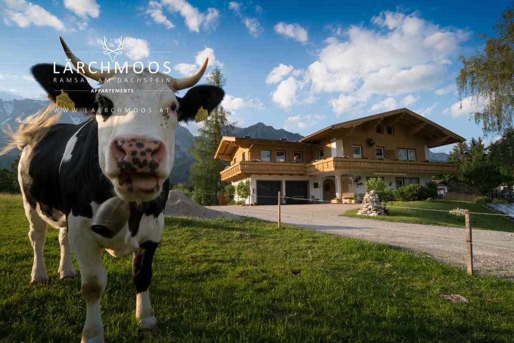 Appartements Laerchmoos ラムサウ・アム・ダッハシュタイン エクステリア 写真