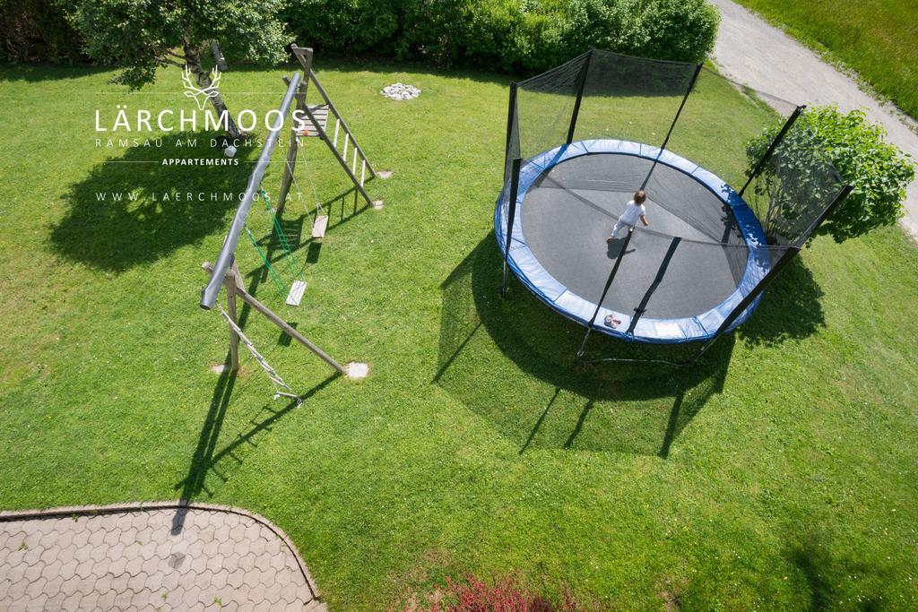 Appartements Laerchmoos ラムサウ・アム・ダッハシュタイン エクステリア 写真