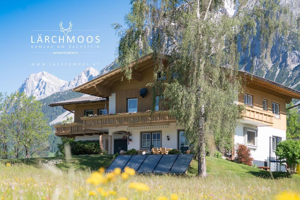 Appartements Laerchmoos ラムサウ・アム・ダッハシュタイン エクステリア 写真