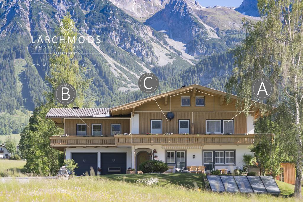 Appartements Laerchmoos ラムサウ・アム・ダッハシュタイン エクステリア 写真