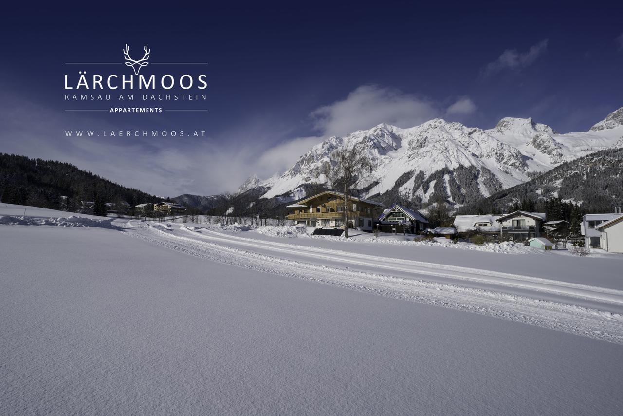 Appartements Laerchmoos ラムサウ・アム・ダッハシュタイン エクステリア 写真