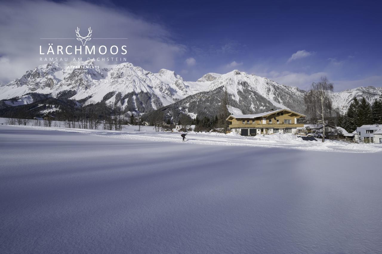 Appartements Laerchmoos ラムサウ・アム・ダッハシュタイン エクステリア 写真