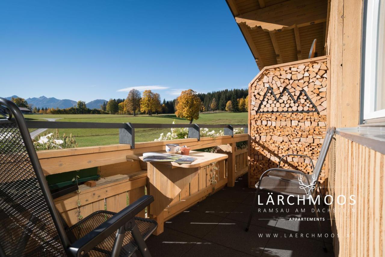 Appartements Laerchmoos ラムサウ・アム・ダッハシュタイン エクステリア 写真